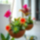 Beautifully crafted coconut shell planter showcasing vibrant plants