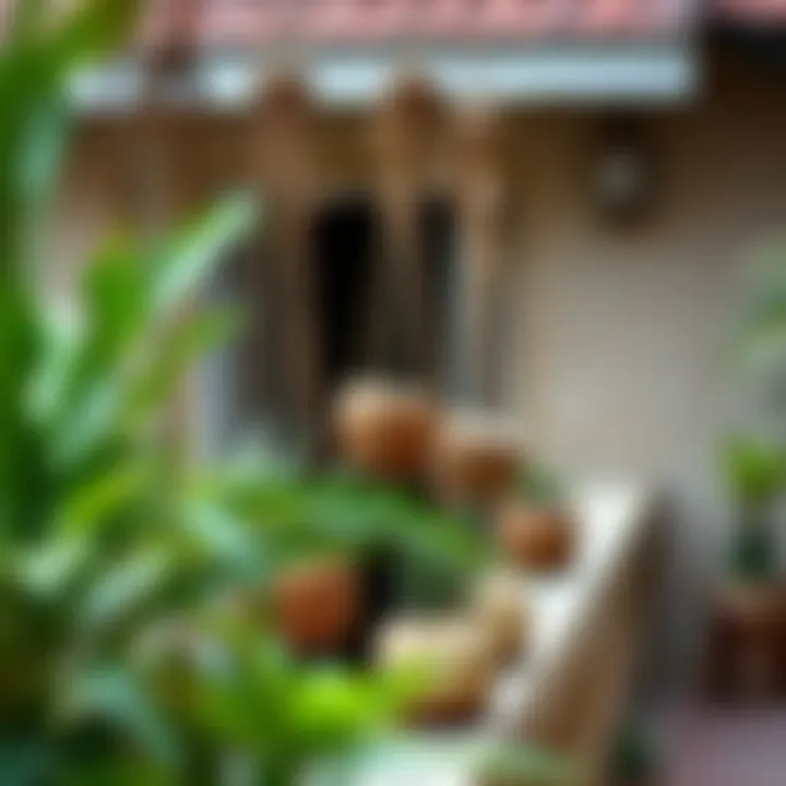Rustic Balcony with Coconut Shell Planters Aesthetic arrangement of coconut shell planters on a rustic balcony