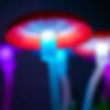 Vibrant Colors of Mushroom Lamp Close-up view of the vibrant colors emitted by a mushroom lamp