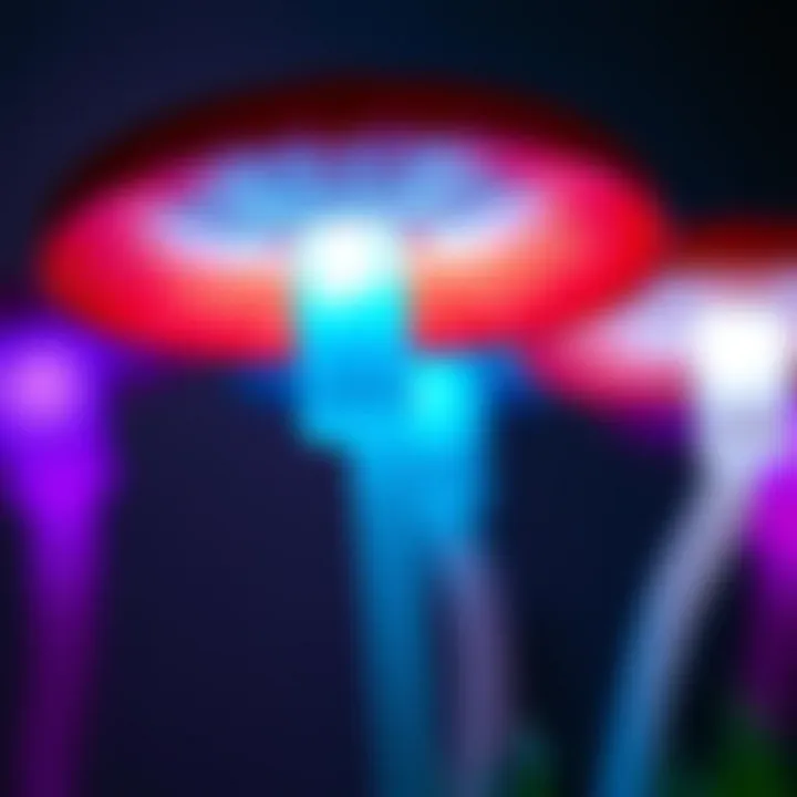 Vibrant Colors of Mushroom Lamp Close-up view of the vibrant colors emitted by a mushroom lamp
