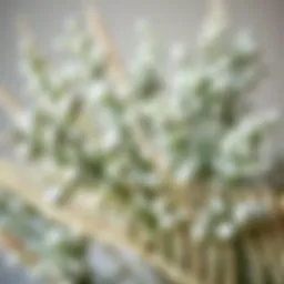 Beautifully arranged eucalyptus branches showcasing their silvery-green hues