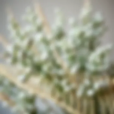 Beautifully arranged eucalyptus branches showcasing their silvery-green hues