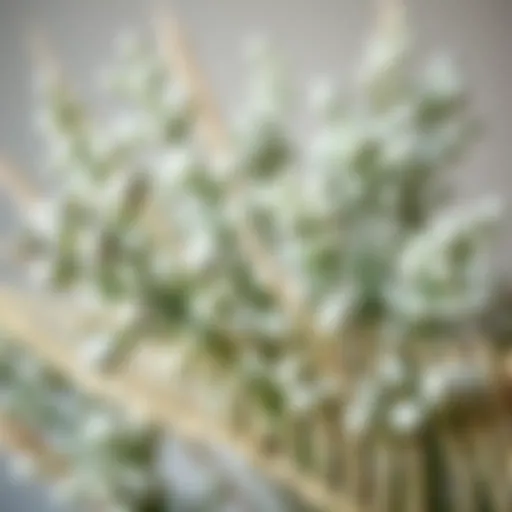 Beautifully arranged eucalyptus branches showcasing their silvery-green hues