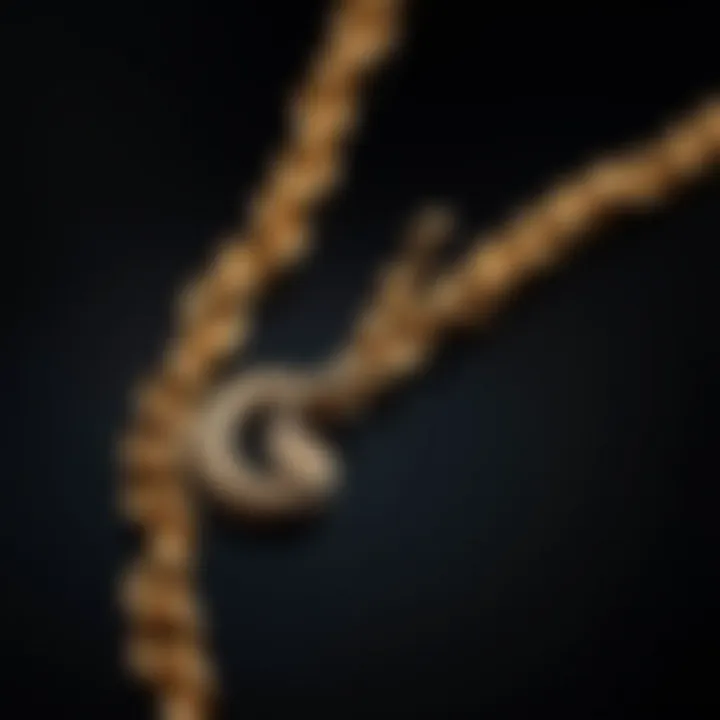 Close-up of a snake chain charm with intricate design