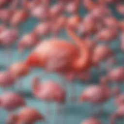 Colorful assortment of funny flamingo gifts