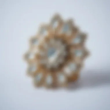 Elegant jumbo jaw clip showcasing intricate design