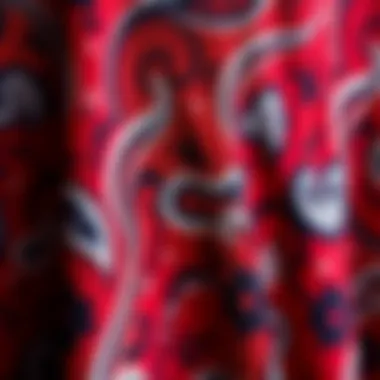 Intricate Paisley Pattern Close-up of paisley pattern and fabric texture