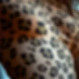 Close-up of the intricate fabric texture of the sheer cheetah bodysuit