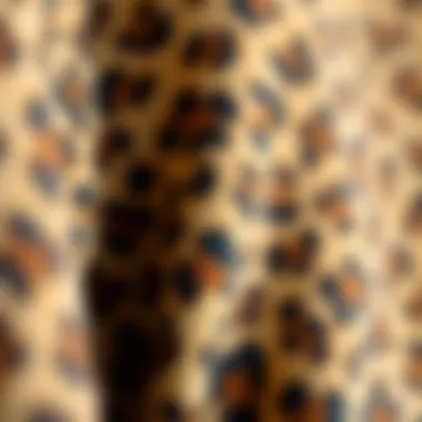 Close-up of cheetah print fabric showcasing texture