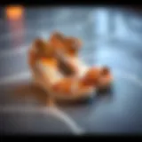 Elegant Design of Toe Loop Wedge Sandals Elegant toe loop wedge sandals showcased on a stylish surface