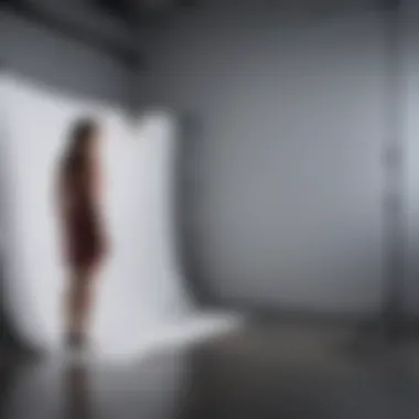 Capturing Moments with a Backdrop Stand A professional photographer using a backdrop stand in a studio setting