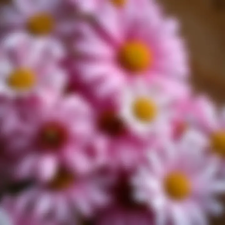 Close-up view of the materials used in crafting faux daisies