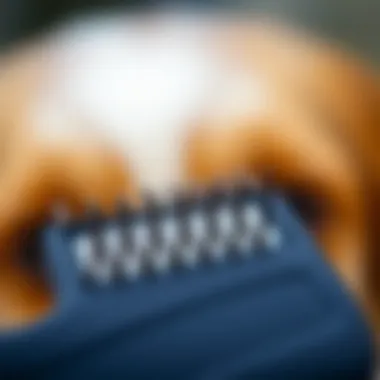 Close-Up of Bristles on a Pet Hair Removal Comb A detailed look at the bristles of a pet hair removal comb highlighting its material and texture.