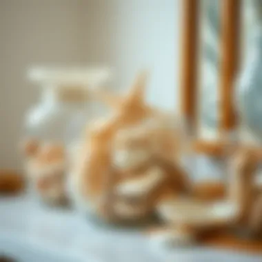 Seashell containers used in eco-friendly home décor